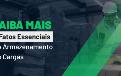 Saiba Mais: 6 Fatos Essenciais no Armazenamento de Cargas
