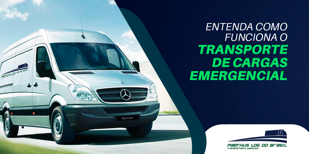 banner_paethus_24032022 (1)