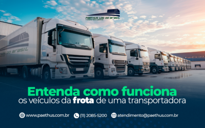 Entenda como funciona os veículos da frota de uma transportadora